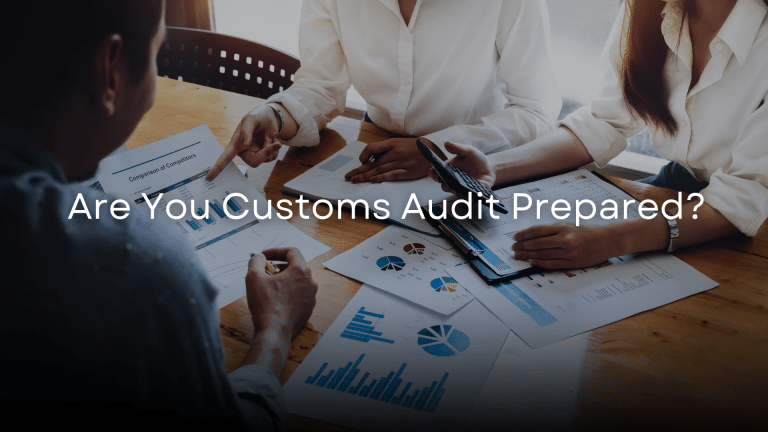 Are You Customs Audit Prepared?​