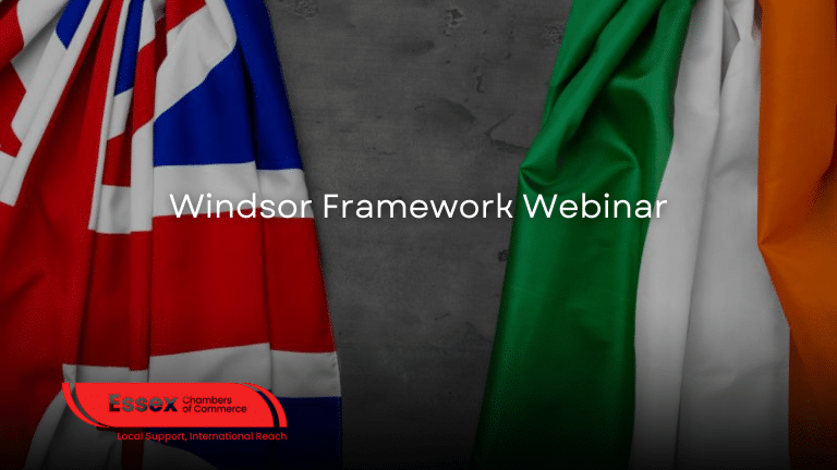 Windsor Framework Webinar: Stay Ahead of Upcoming Regulations!​